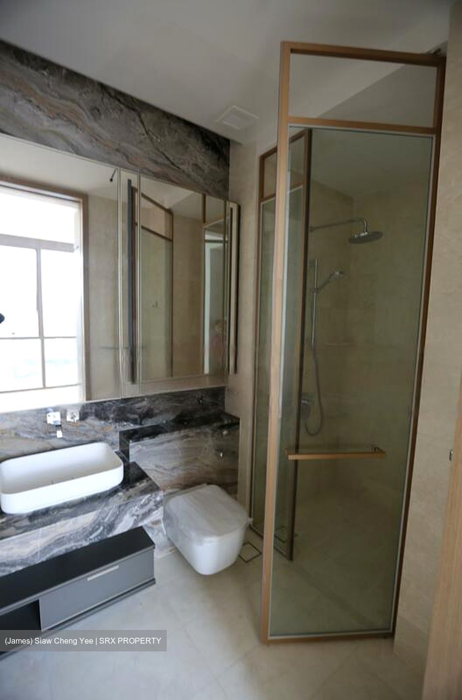 The Avenir (D9), Condominium #464308311